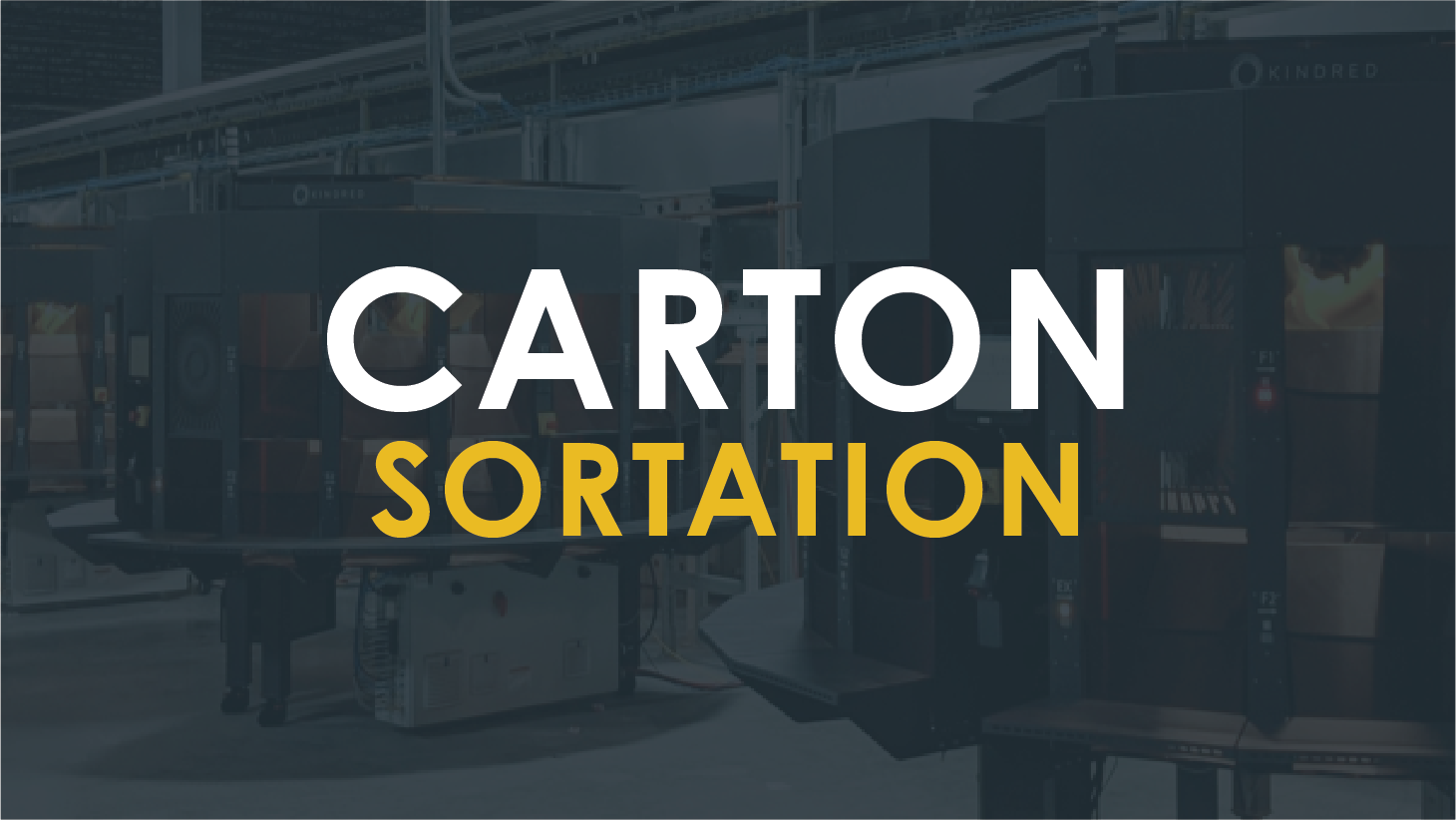 CARTON-SORTATION-icon_1